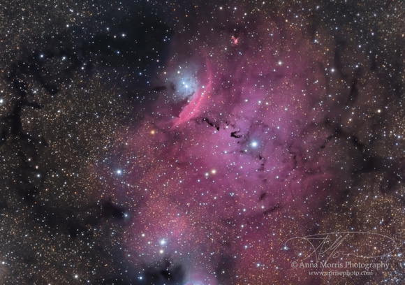 Enterprise Photography: Nebulas &emdash; NGC 6559
